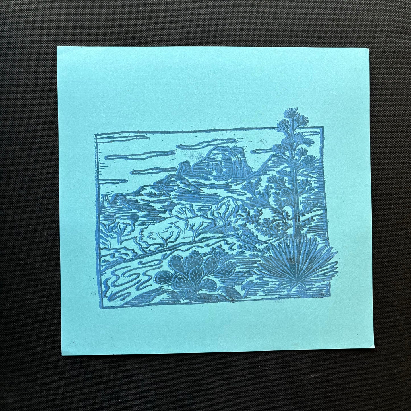 12 x 12 Sedona misprints