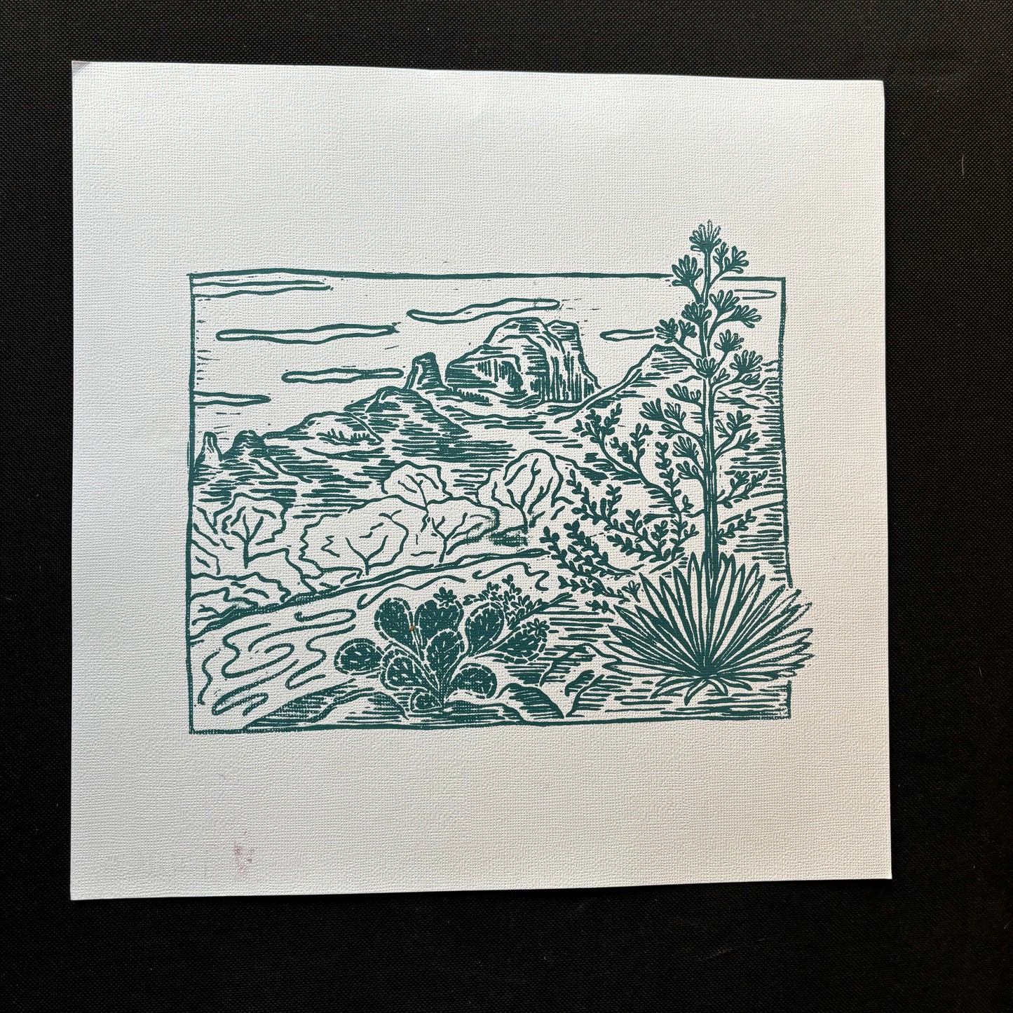 12 x 12 Sedona print - green on white (misprint)