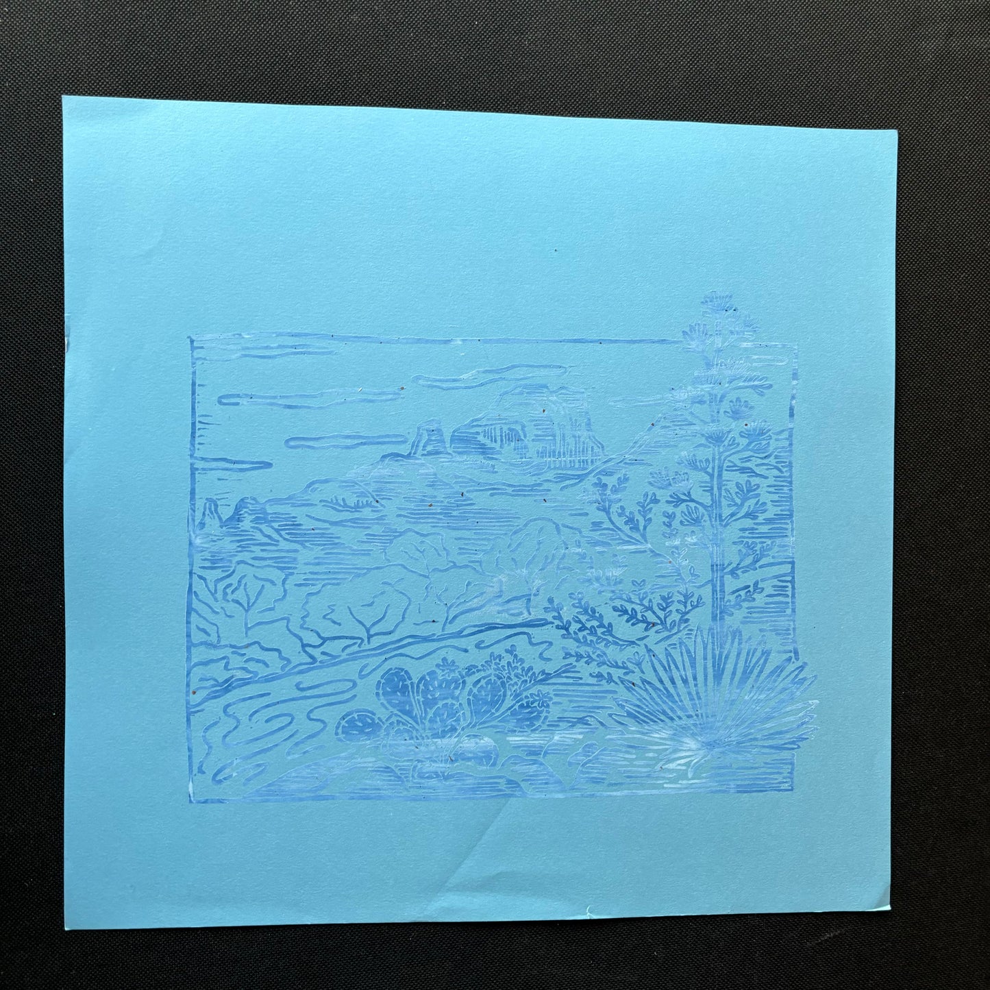 12 x 12 Sedona misprints