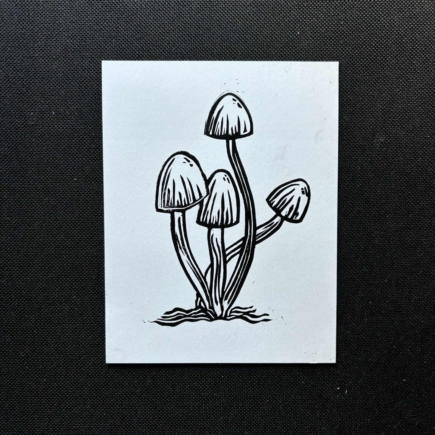 fairy caps flat card - black