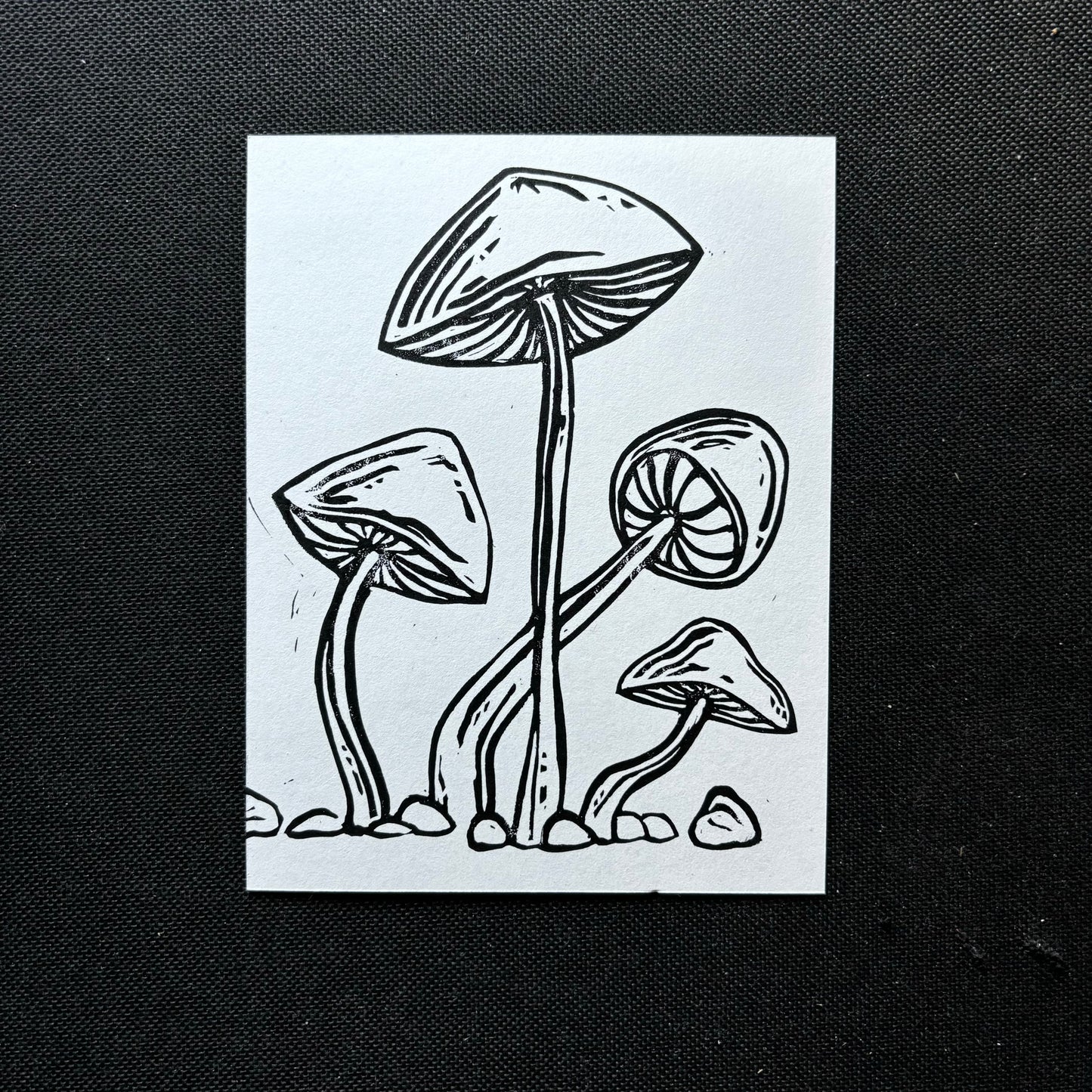 Big shrooms flat card - black