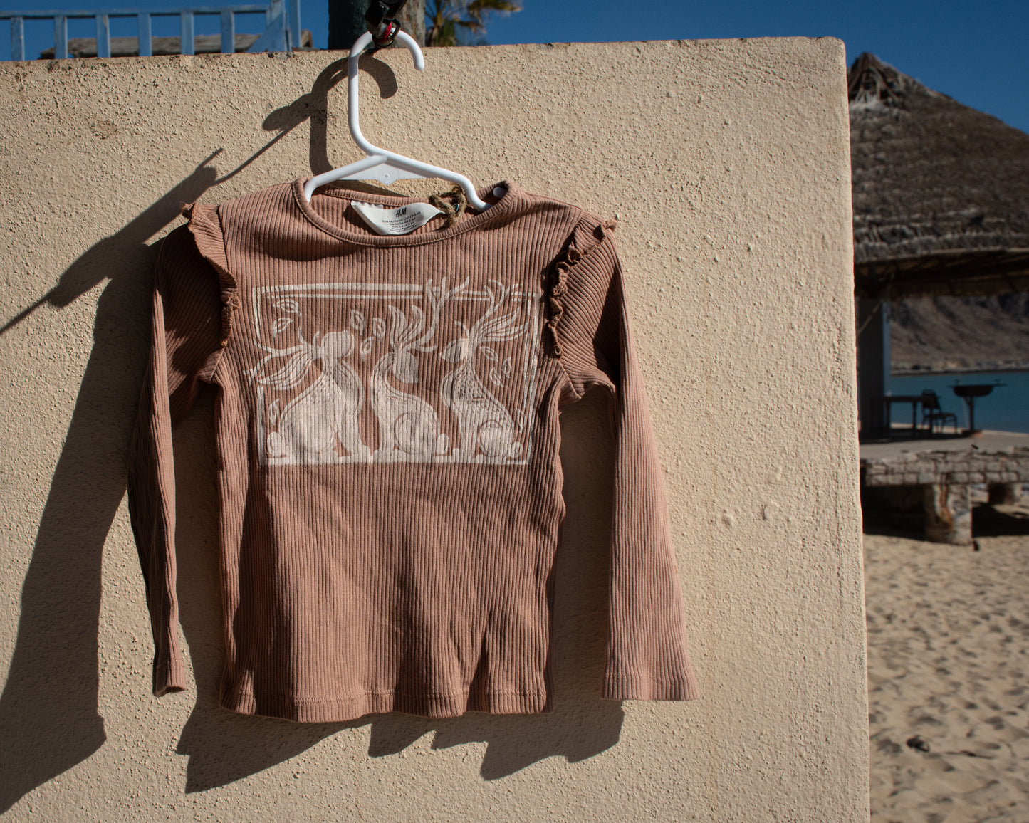 3-4T - Jackalope long sleeves